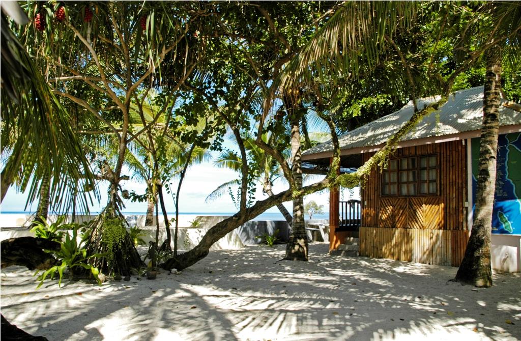 https://www.tauch-traeume.de/Southern Leyte Divers & Resort